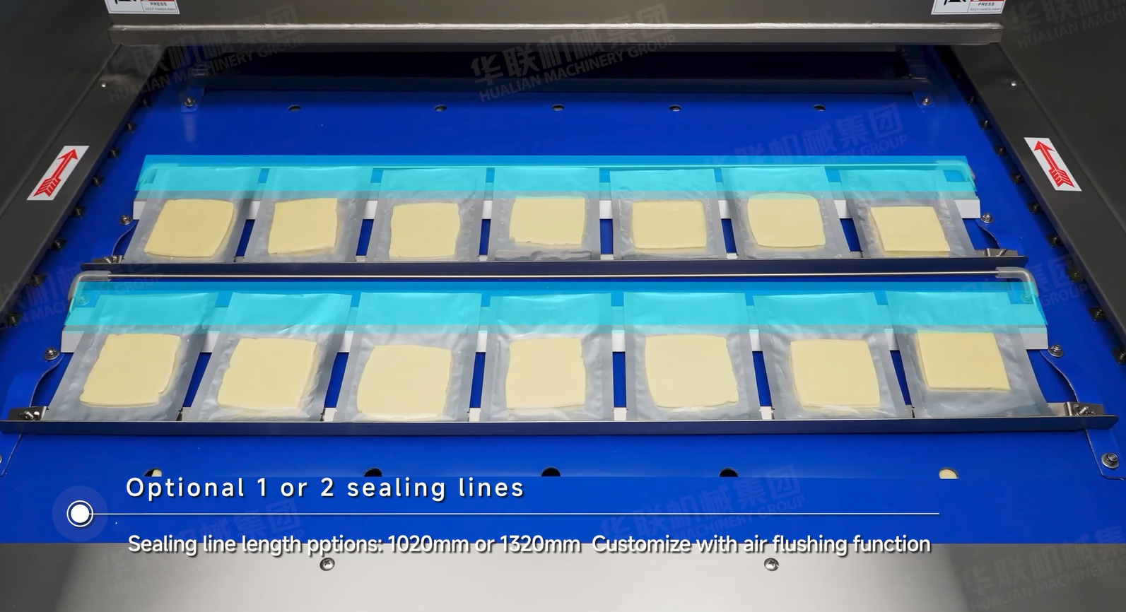 m&aacute;quina de envasado al vac&iacute;o continuo