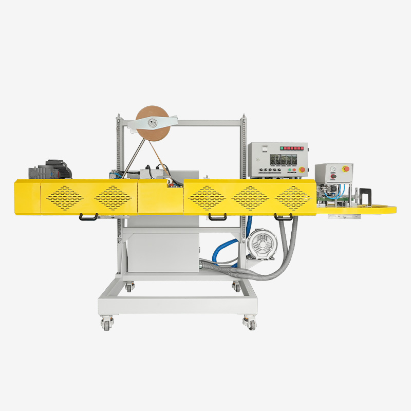 Máquina de embalaje de bolsa grande automática para uso químico FBF-32A