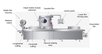 //ijrorwxhnjkmlj5p-static.micyjz.com/cloud/lpBprKlnlkSRmkkpjoqliq/thermoforming-packaging-machine.jpg