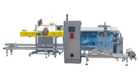 //ijrorwxhnjkmlj5p-static.micyjz.com/cloud/lqBprKlnlkSRqlnrokljio/plastic-pellets-packaging-line.jpg