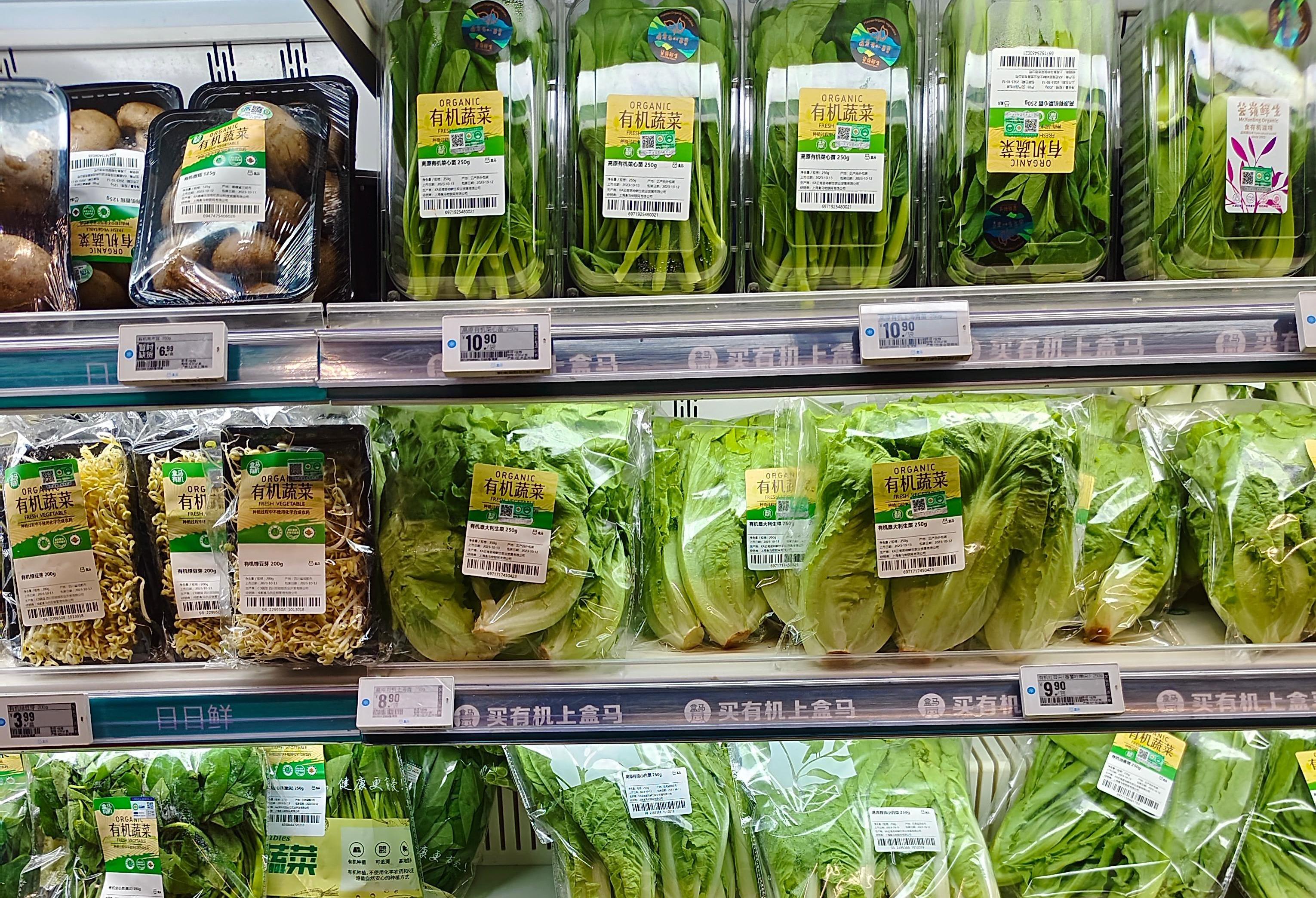 M&aacute;quina envasadora de mapas para vegetales.