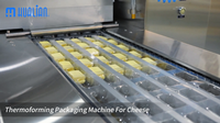 //ijrorwxhnjkmlj5p-static.micyjz.com/cloud/pkBprKlnlkSRqlprmpqrip/thermoforming-packaging-machine-for-cheese.png